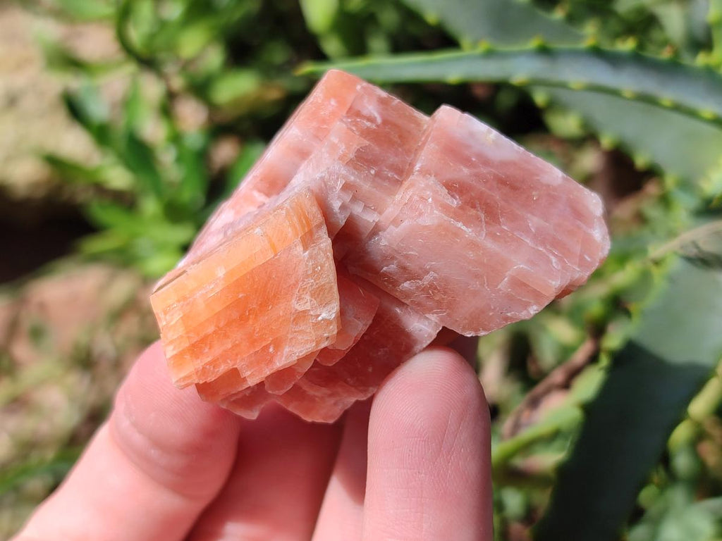 Natural Rhombohedral Sunset Orange Calcite Specimens x 24 From Spitzkop, Namibia - Toprock Gemstones and Minerals 