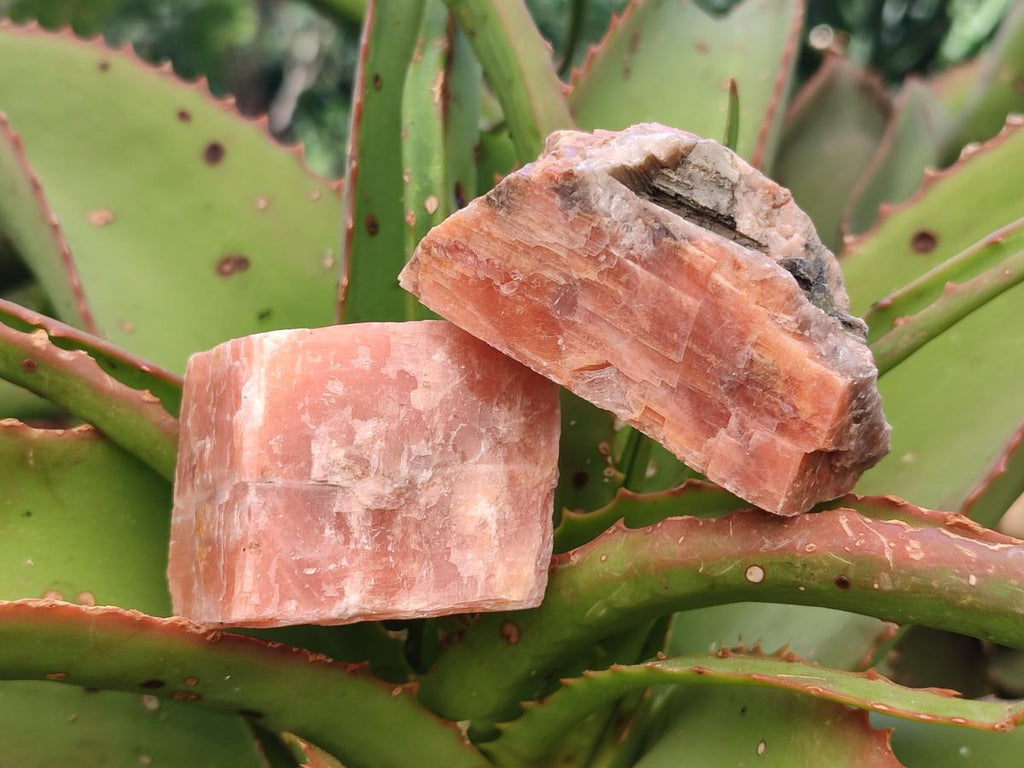 Natural Rhombohedral Sunset Orange Calcite Specimens x 24 From Spitzkop, Namibia - Toprock Gemstones and Minerals 