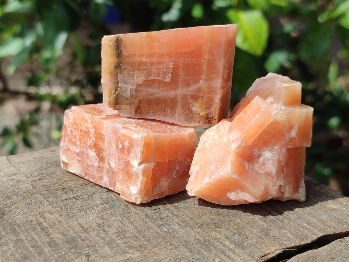 Natural Rhombohedral Sunset Orange Calcite Specimens x 24 From Spitzkop, Namibia - Toprock Gemstones and Minerals 