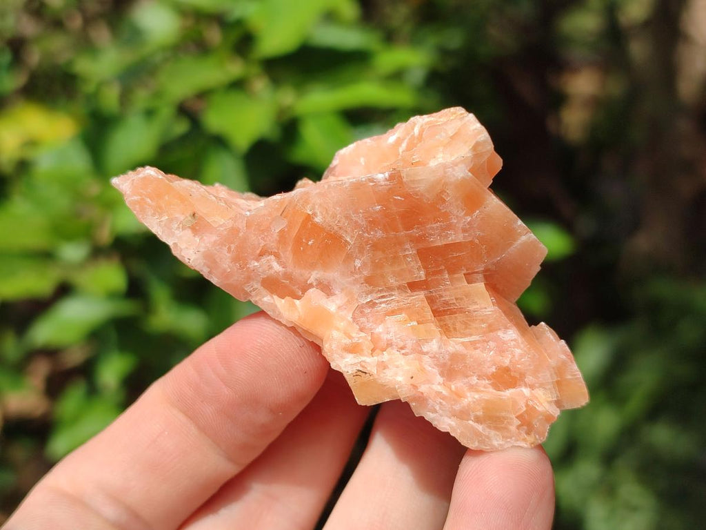 Natural Rhombohedral Sunset Orange Calcite Specimens x 24 From Spitzkop, Namibia - Toprock Gemstones and Minerals 