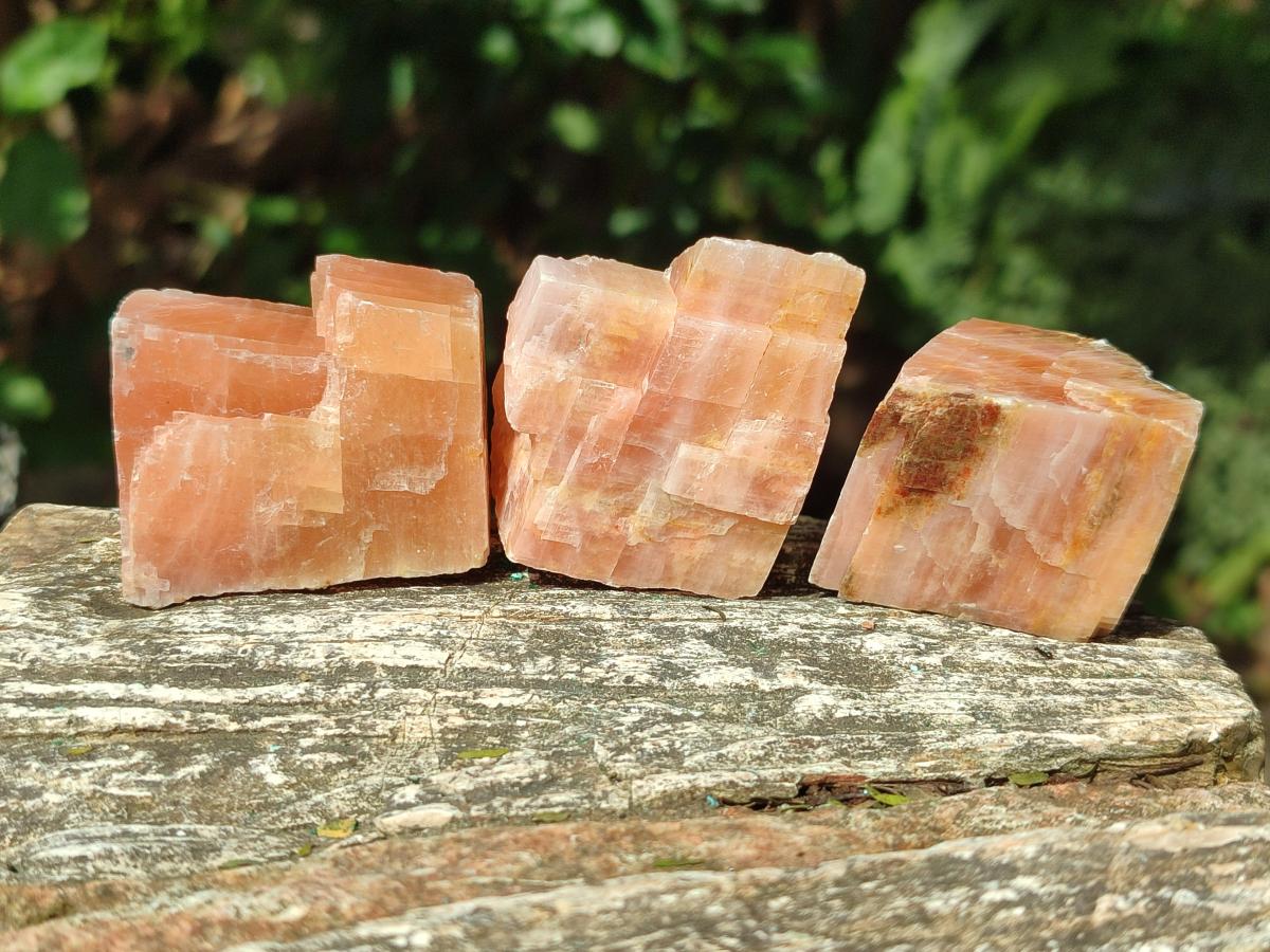 Natural Rhombohedral Sunset Orange Calcite Specimens x 24 From Spitzkop, Namibia - Toprock Gemstones and Minerals 