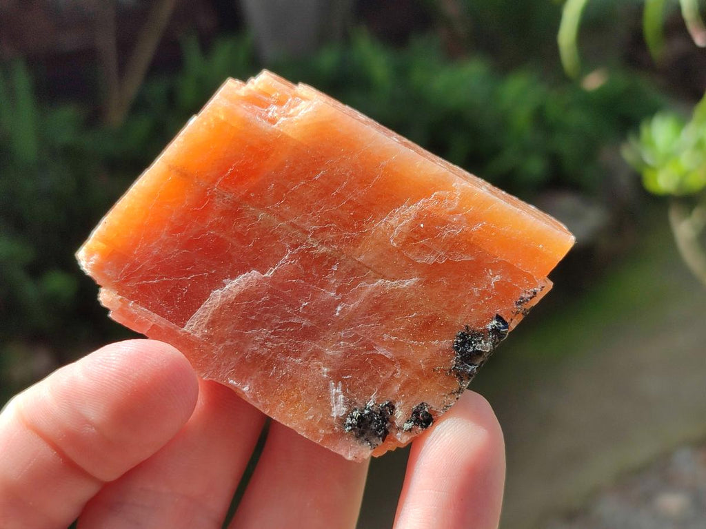 Natural Rhombohedral Sunset Orange Calcite Specimens x 24 From Spitzkop, Namibia - Toprock Gemstones and Minerals 