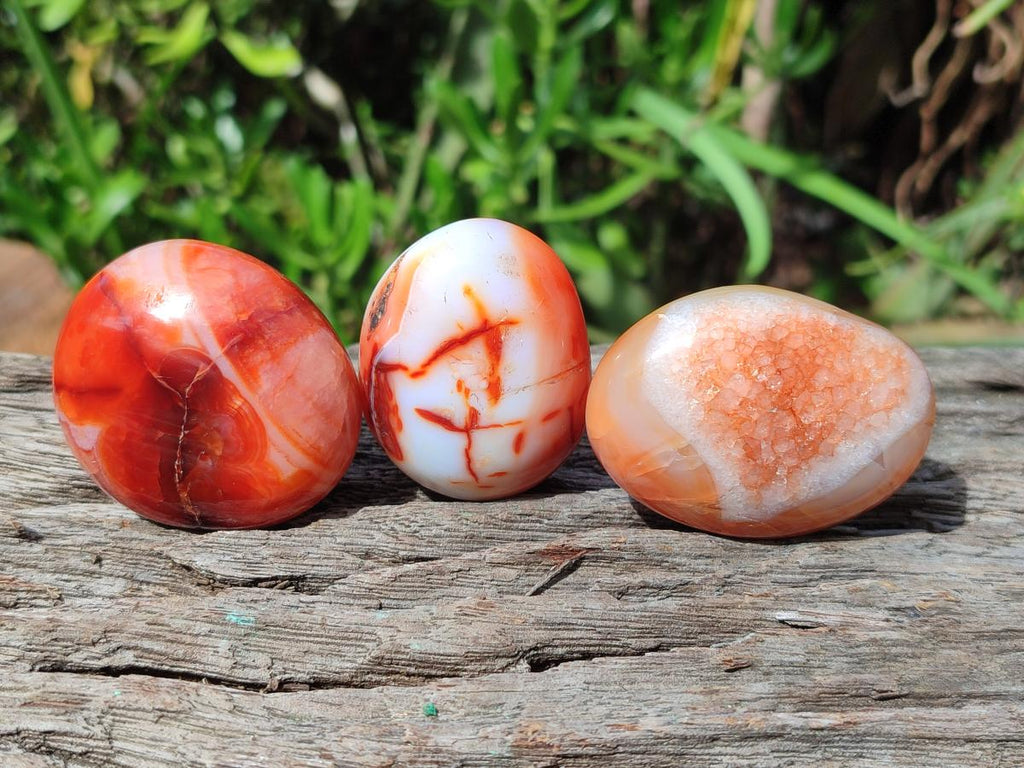 Polished Carnelian Agate Gemstone Palm Stones x 26 From Madagascar - Toprock Gemstones and Minerals 