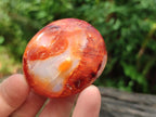 Polished Carnelian Agate Gemstone Palm Stones x 26 From Madagascar - Toprock Gemstones and Minerals 