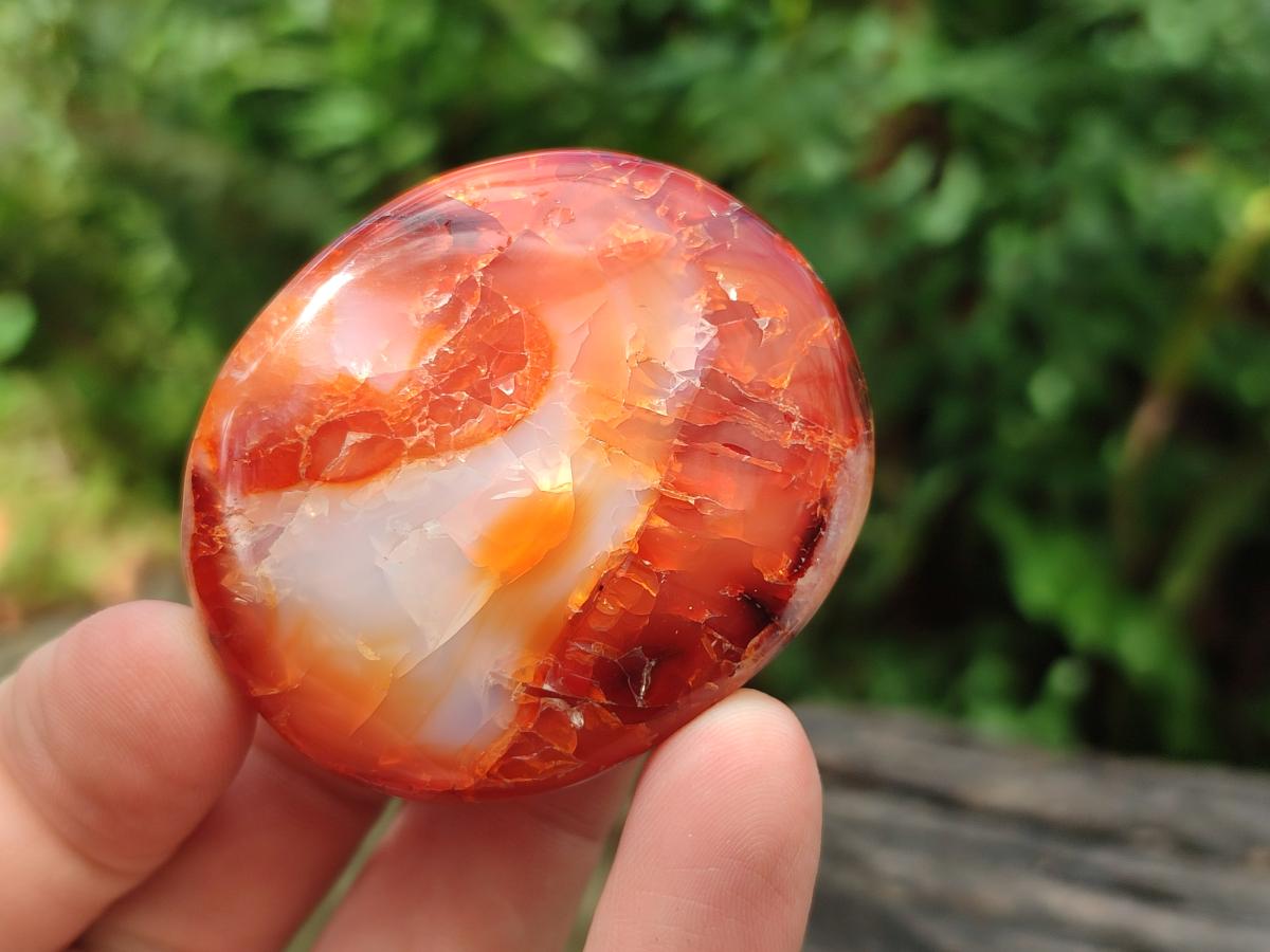 Polished Carnelian Agate Gemstone Palm Stones x 26 From Madagascar - Toprock Gemstones and Minerals 