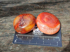 Polished Carnelian Agate Gemstone Palm Stones x 26 From Madagascar - Toprock Gemstones and Minerals 