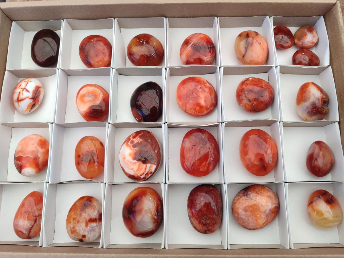 Polished Carnelian Agate Gemstone Palm Stones x 26 From Madagascar - Toprock Gemstones and Minerals 