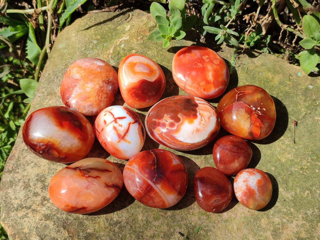 Polished Carnelian Agate Gemstone Palm Stones x 26 From Madagascar - Toprock Gemstones and Minerals 