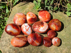 Polished Carnelian Agate Gemstone Palm Stones x 26 From Madagascar - Toprock Gemstones and Minerals 