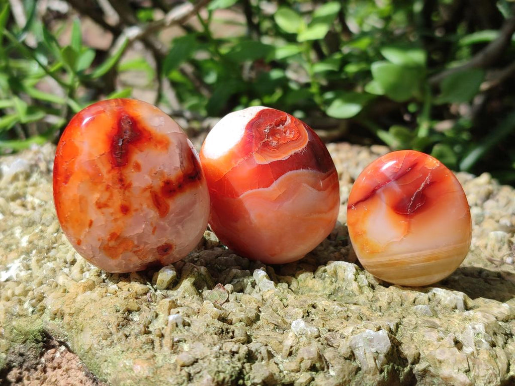 Polished Carnelian Agate Gemstone Palm Stones x 26 From Madagascar - Toprock Gemstones and Minerals 