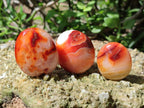 Polished Carnelian Agate Gemstone Palm Stones x 26 From Madagascar - Toprock Gemstones and Minerals 