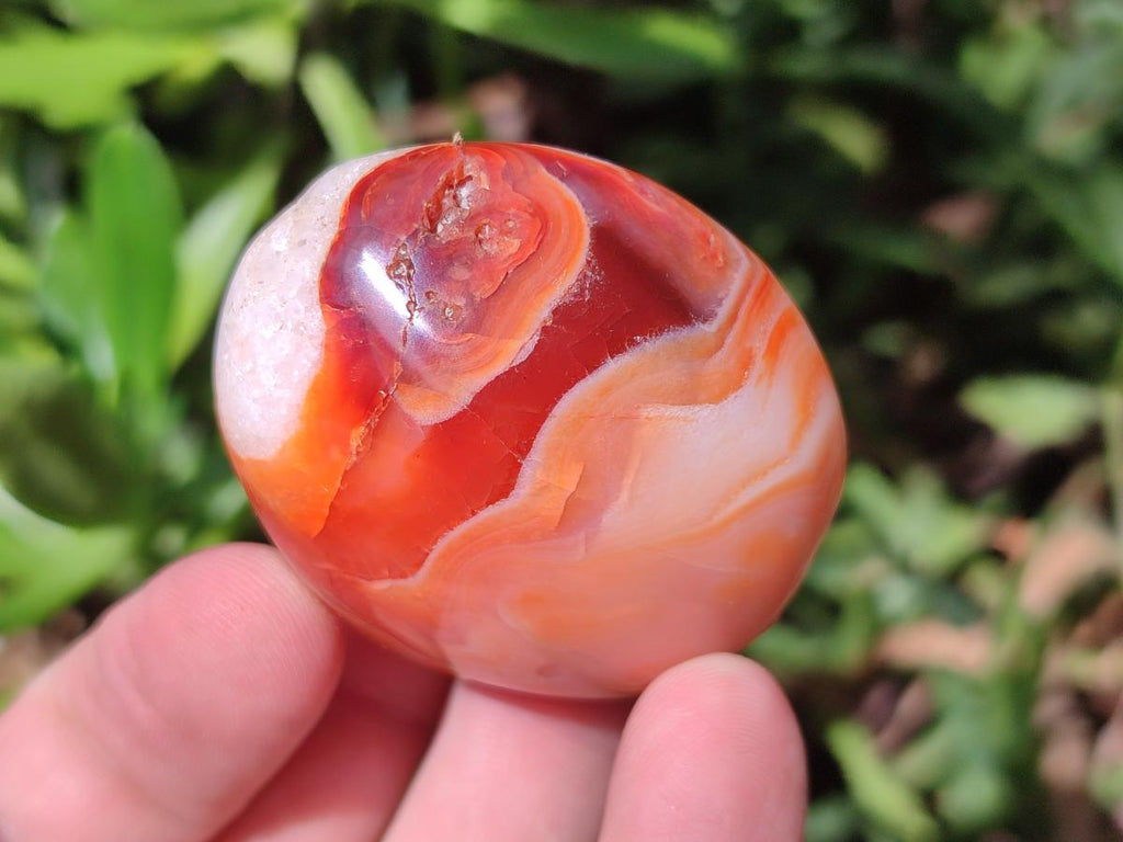 Polished Carnelian Agate Gemstone Palm Stones x 26 From Madagascar - Toprock Gemstones and Minerals 
