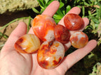 Polished Carnelian Agate Gemstone Palm Stones x 26 From Madagascar - Toprock Gemstones and Minerals 
