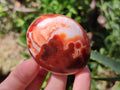Polished Carnelian Agate Gemstone Palm Stones x 26 From Madagascar - Toprock Gemstones and Minerals 