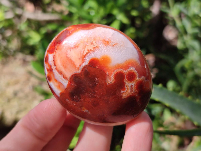 Polished Carnelian Agate Gemstone Palm Stones x 26 From Madagascar - Toprock Gemstones and Minerals 