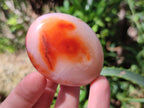 Polished Carnelian Agate Gemstone Palm Stones x 26 From Madagascar - Toprock Gemstones and Minerals 