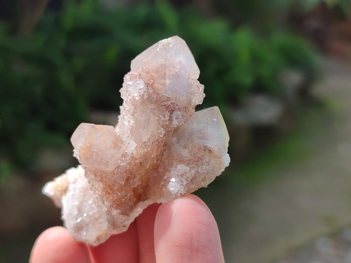 Natural Spirit Quartz Clusters with Limonite x 35 From Boekenhouthoek, South Africa - Toprock Gemstones and Minerals 