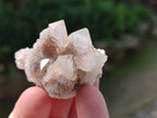 Natural Spirit Quartz Clusters with Limonite x 35 From Boekenhouthoek, South Africa - Toprock Gemstones and Minerals 