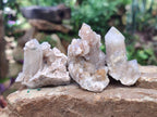 Natural Spirit Quartz Clusters with Limonite x 35 From Boekenhouthoek, South Africa - Toprock Gemstones and Minerals 