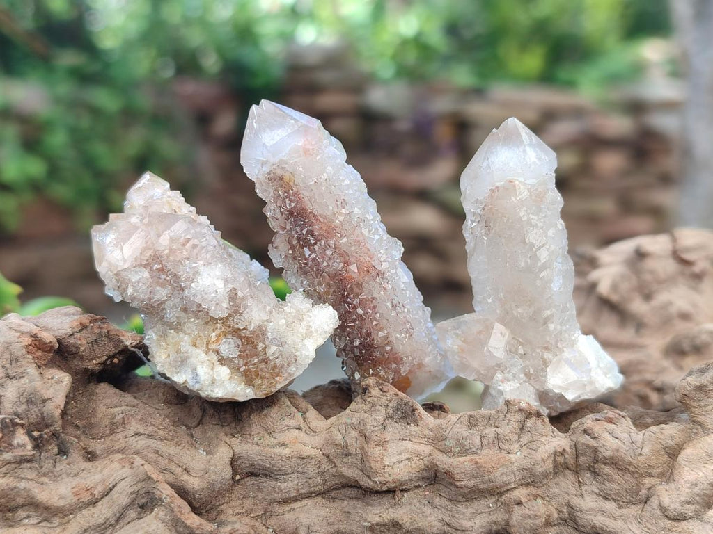 Natural Spirit Quartz Clusters with Limonite x 35 From Boekenhouthoek, South Africa - Toprock Gemstones and Minerals 