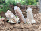 Natural Spirit Quartz Clusters with Limonite x 35 From Boekenhouthoek, South Africa - Toprock Gemstones and Minerals 