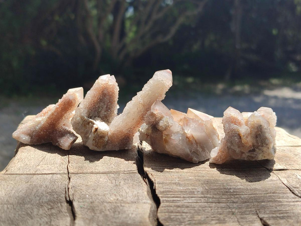 Natural Spirit Quartz Clusters with Limonite x 35 From Boekenhouthoek, South Africa - Toprock Gemstones and Minerals 
