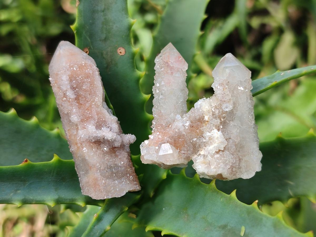 Natural Spirit Quartz Clusters with Limonite x 35 From Boekenhouthoek, South Africa - Toprock Gemstones and Minerals 