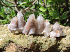 Natural Spirit Quartz Clusters with Limonite x 35 From Boekenhouthoek, South Africa - Toprock Gemstones and Minerals 