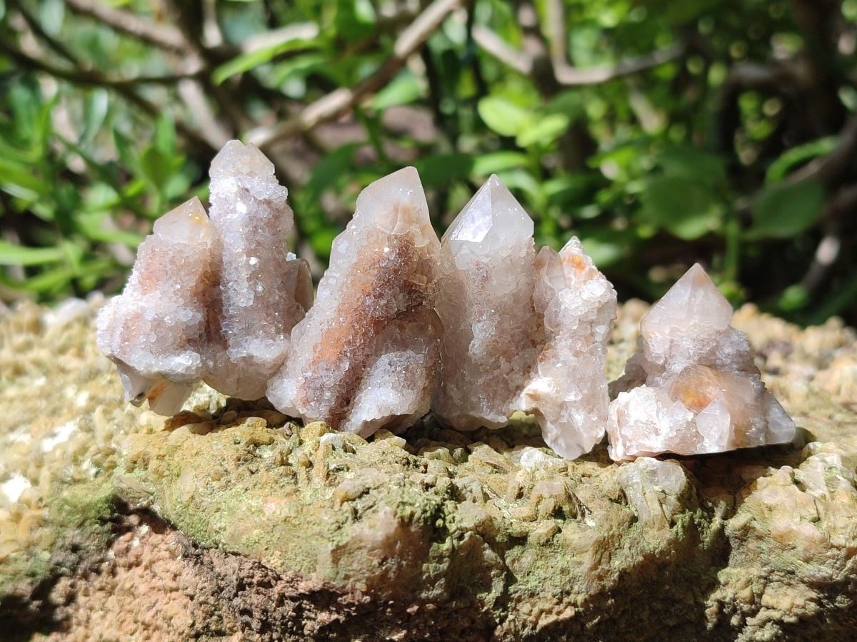Natural Spirit Quartz Clusters with Limonite x 35 From Boekenhouthoek, South Africa - Toprock Gemstones and Minerals 