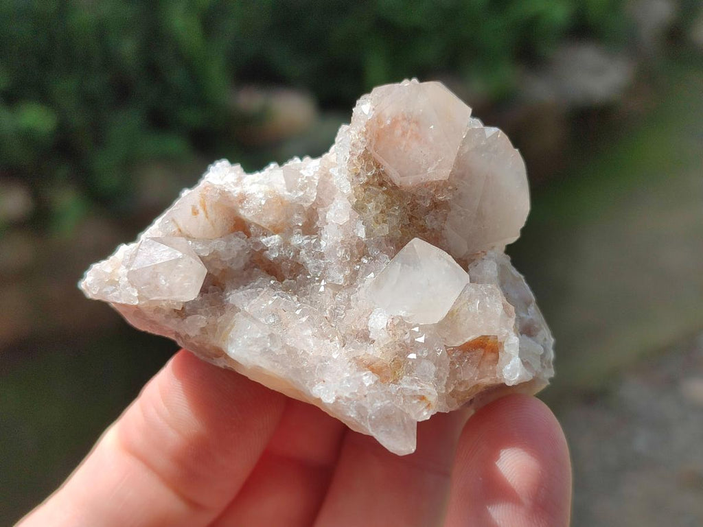 Natural Spirit Quartz Clusters with Limonite x 35 From Boekenhouthoek, South Africa - Toprock Gemstones and Minerals 