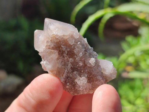 Natural Spirit Quartz Clusters with Limonite x 35 From Boekenhouthoek, South Africa - Toprock Gemstones and Minerals 