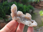 Natural Spirit Quartz Clusters with Limonite x 35 From Boekenhouthoek, South Africa - Toprock Gemstones and Minerals 