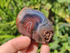 Polished One Side Red Shashe River Agate Nodules x 24 From Shashe River, Zimbabwe - Toprock Gemstones and Minerals 