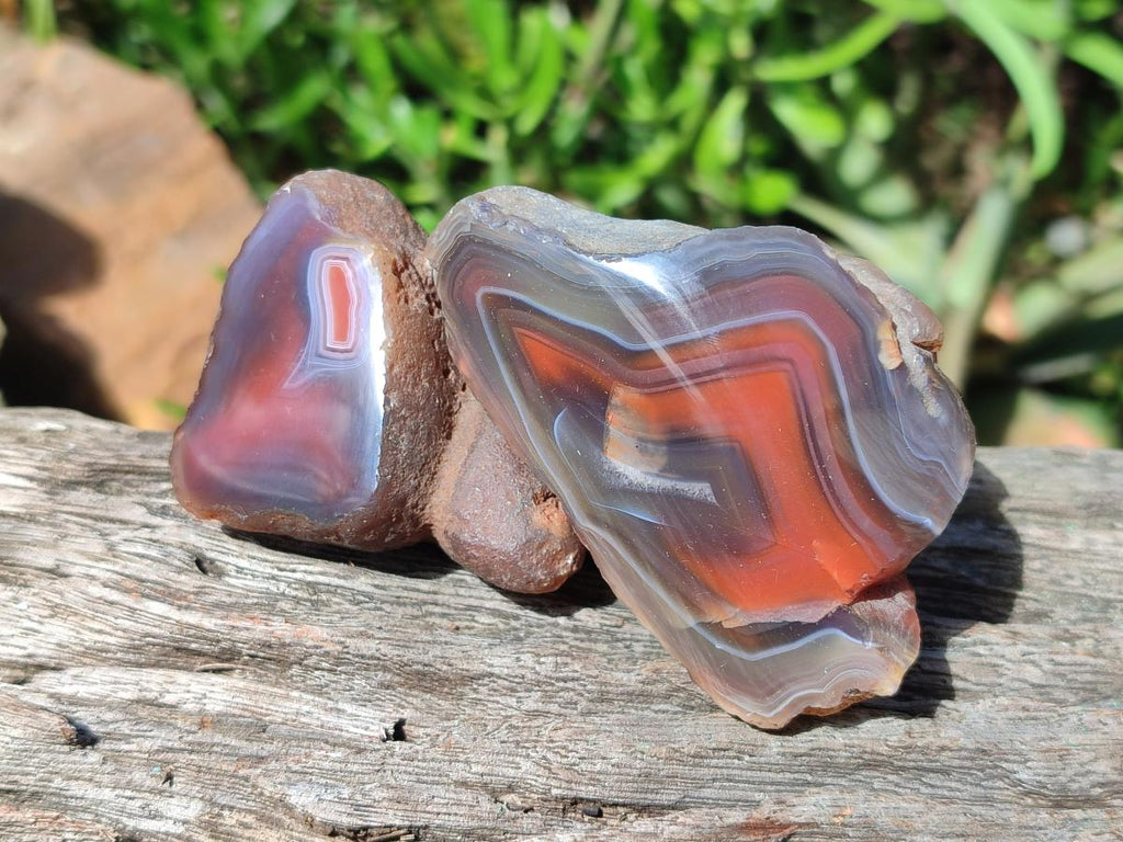 Polished One Side Red Shashe River Agate Nodules x 24 From Shashe River, Zimbabwe - Toprock Gemstones and Minerals 