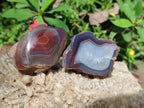 Polished One Side Red Shashe River Agate Nodules x 24 From Shashe River, Zimbabwe - Toprock Gemstones and Minerals 