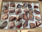 Polished One Side Red Shashe River Agate Nodules x 24 From Shashe River, Zimbabwe - Toprock Gemstones and Minerals 