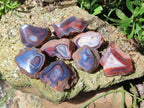 Polished One Side Red Shashe River Agate Nodules x 24 From Shashe River, Zimbabwe - Toprock Gemstones and Minerals 