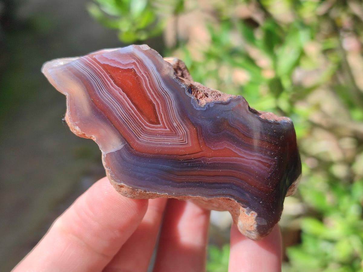 Polished One Side Red Shashe River Agate Nodules x 24 From Shashe River, Zimbabwe - Toprock Gemstones and Minerals 