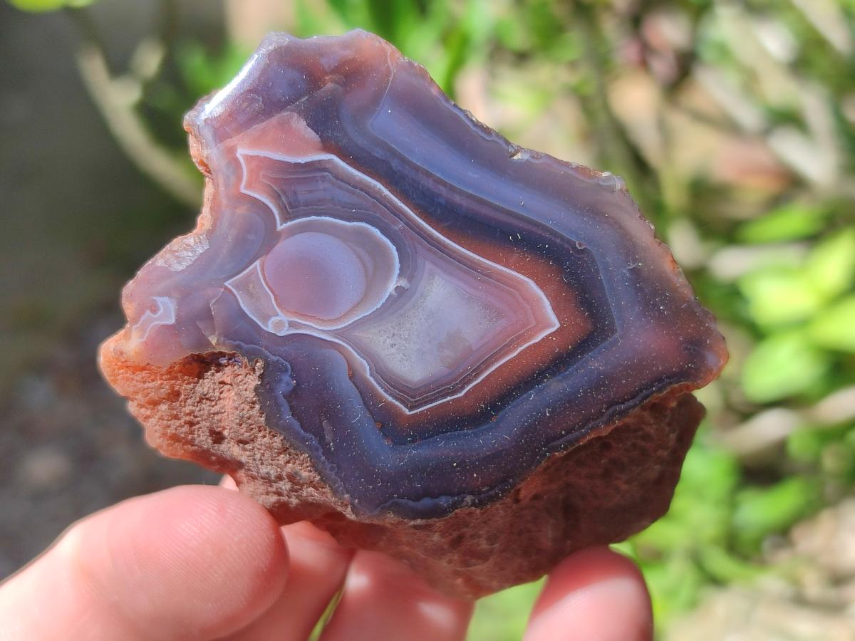 Polished One Side Red Shashe River Agate Nodules x 24 From Shashe River, Zimbabwe - Toprock Gemstones and Minerals 