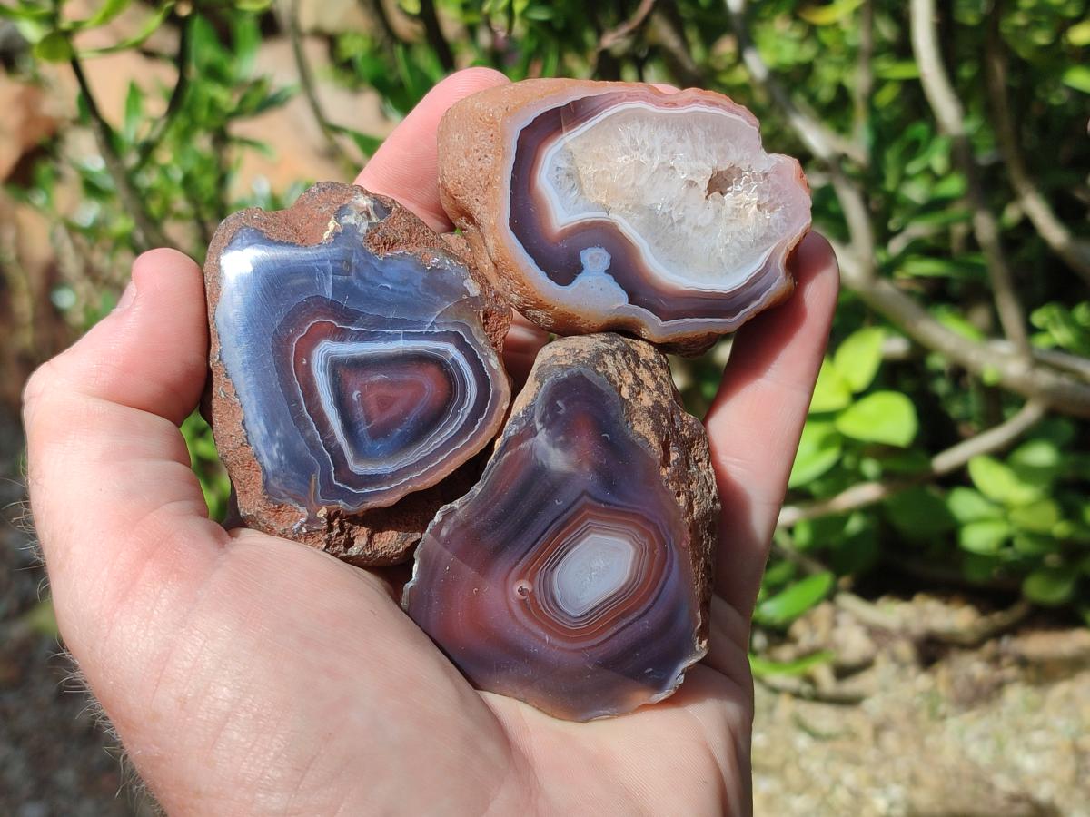 Polished One Side Red Shashe River Agate Nodules x 24 From Shashe River, Zimbabwe - Toprock Gemstones and Minerals 