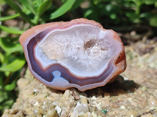 Polished One Side Red Shashe River Agate Nodules x 24 From Shashe River, Zimbabwe - Toprock Gemstones and Minerals 