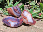 Polished One Side Red Shashe River Agate Nodules x 24 From Shashe River, Zimbabwe - Toprock Gemstones and Minerals 