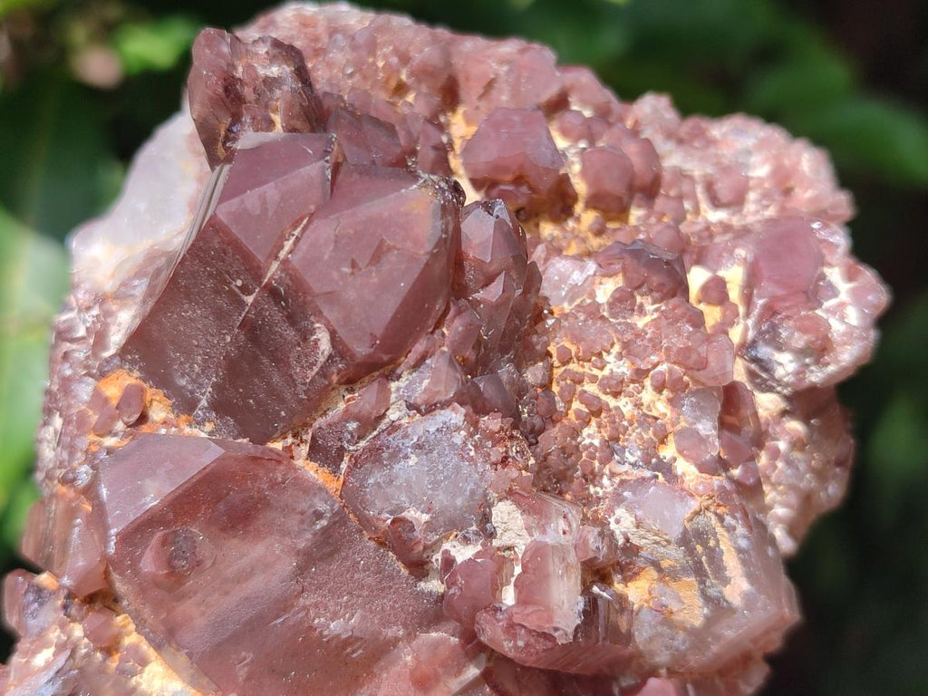 Natural Red Hematoid Quartz Crystal Clusters x 3 From Karoi, Zimbabwe - Toprock Gemstones and Minerals 