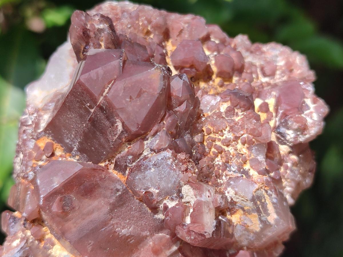 Natural Red Hematoid Quartz Crystal Clusters x 3 From Karoi, Zimbabwe - Toprock Gemstones and Minerals 
