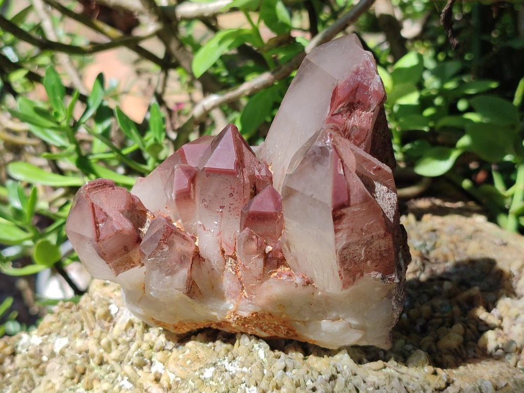Natural Red Hematoid Quartz Crystal Clusters x 3 From Karoi, Zimbabwe - Toprock Gemstones and Minerals 