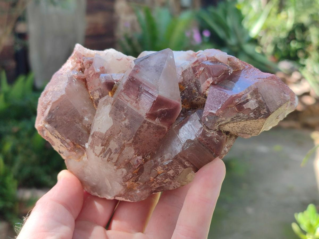 Natural Red Hematoid Quartz Crystal Clusters x 3 From Karoi, Zimbabwe - Toprock Gemstones and Minerals 
