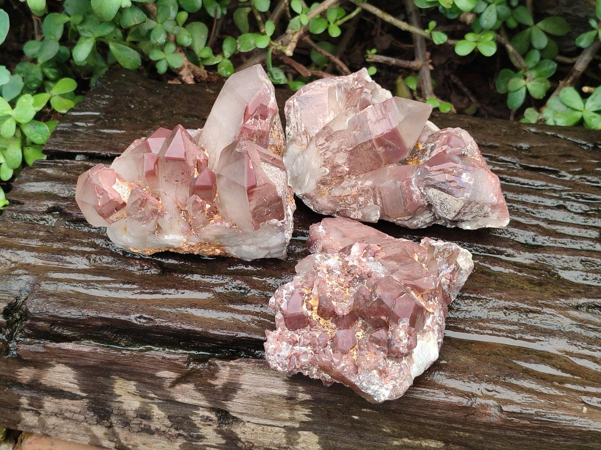 Natural Red Hematoid Quartz Crystal Clusters x 3 From Karoi, Zimbabwe - Toprock Gemstones and Minerals 
