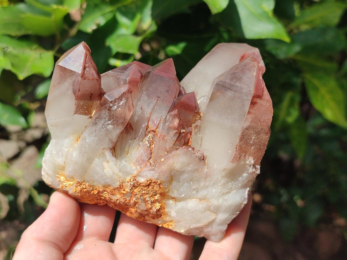 Natural Red Hematoid Quartz Crystal Clusters x 3 From Karoi, Zimbabwe - Toprock Gemstones and Minerals 