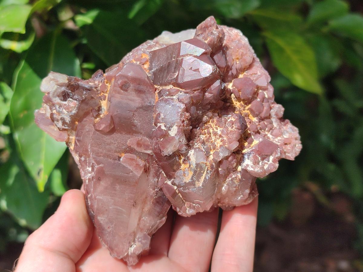 Natural Red Hematoid Quartz Crystal Clusters x 3 From Karoi, Zimbabwe - Toprock Gemstones and Minerals 