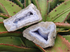 Polished On One Side Blue Lace Agate Geodes x 12 From Nsanje, Malawi - Toprock Gemstones and Minerals 
